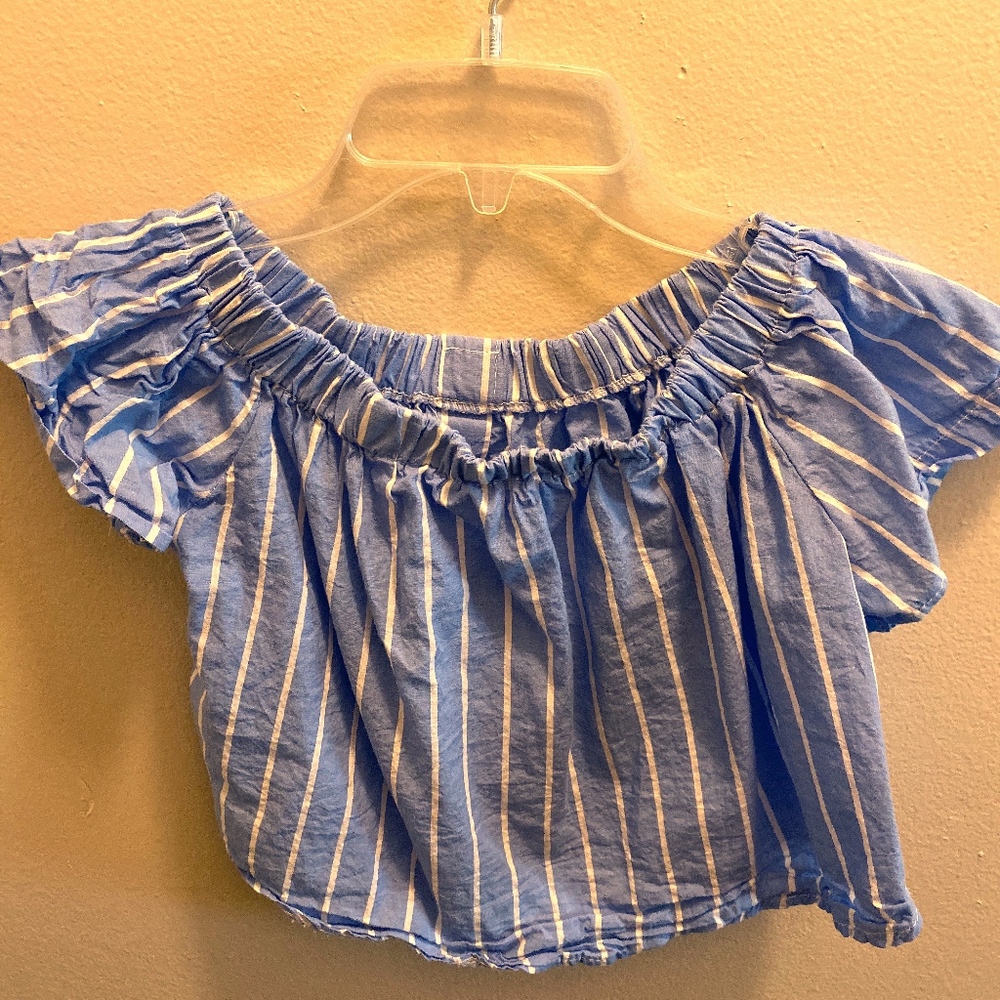 Blue and White Crop Top